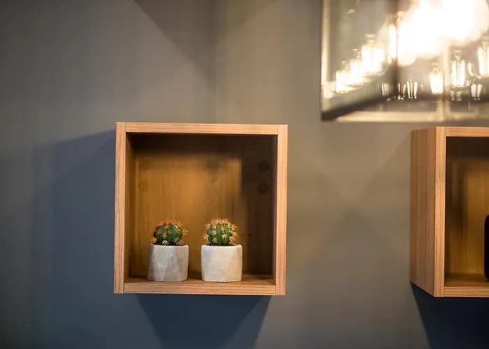 Apartment Curicta Design