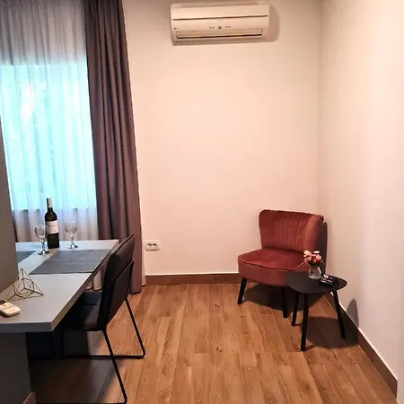 Apartment Curicta Design