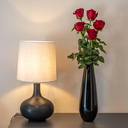 Apartment Curicta Design