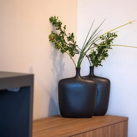 Curicta Design Krk Town